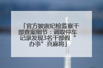 官方披露纪检监察干部查案细节：调取停车记录发现3名干部假“办事”真麻将